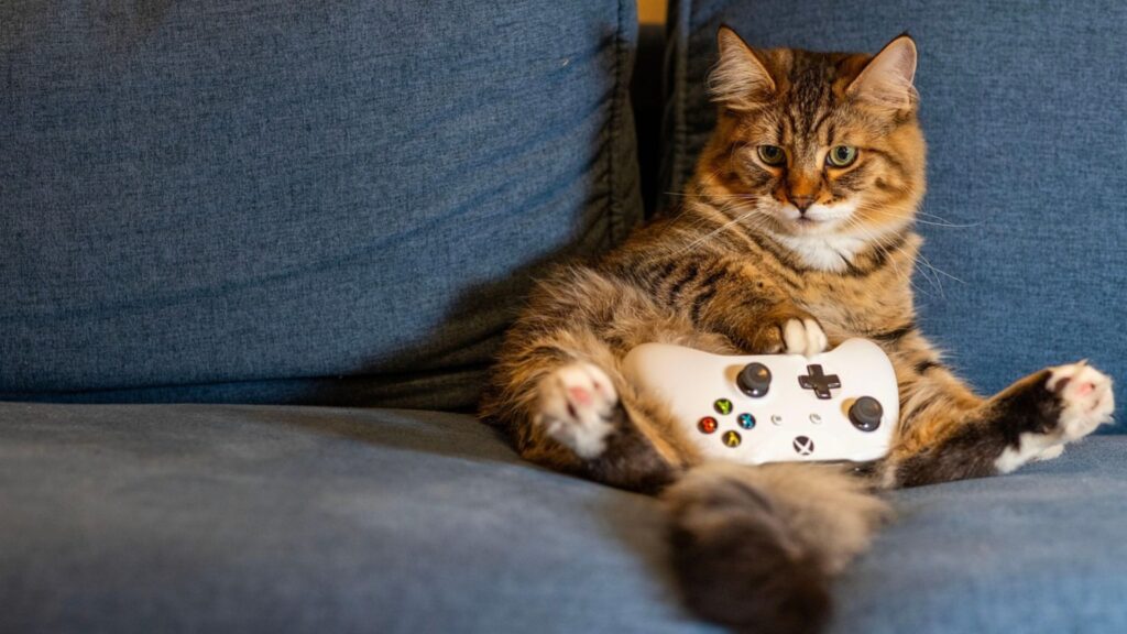 Gato com Console Gaming.