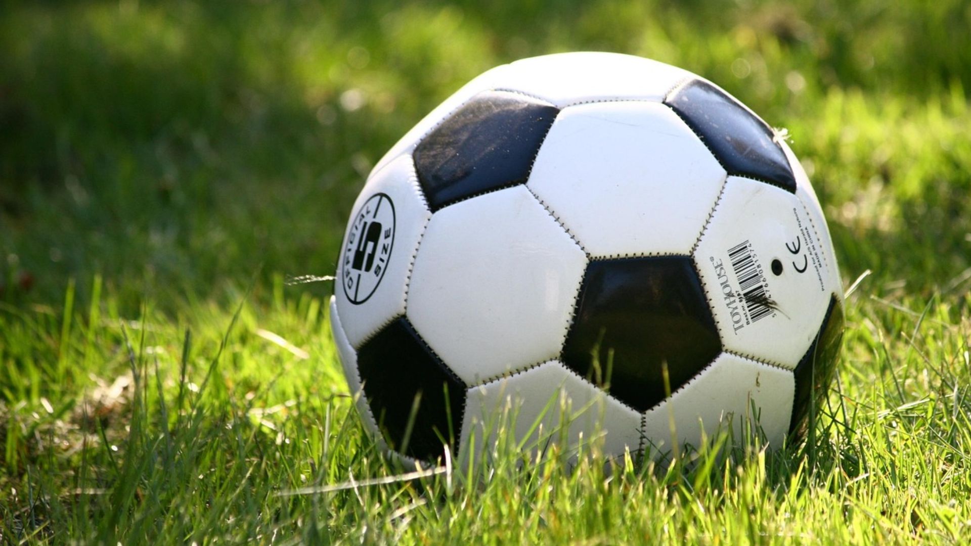 bola de futebol em gramado.